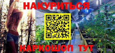 стафф Будённовск