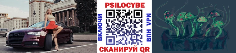 Галлюциногенные грибы Psilocybe  Дзержинский 